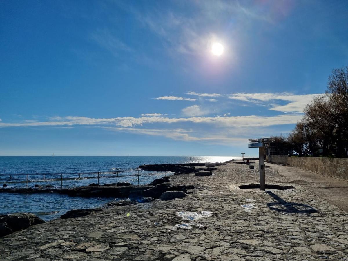 Apartment Rivarela Blu - Newly Renovated And Top Location Near Sea Новиград Екстериор снимка